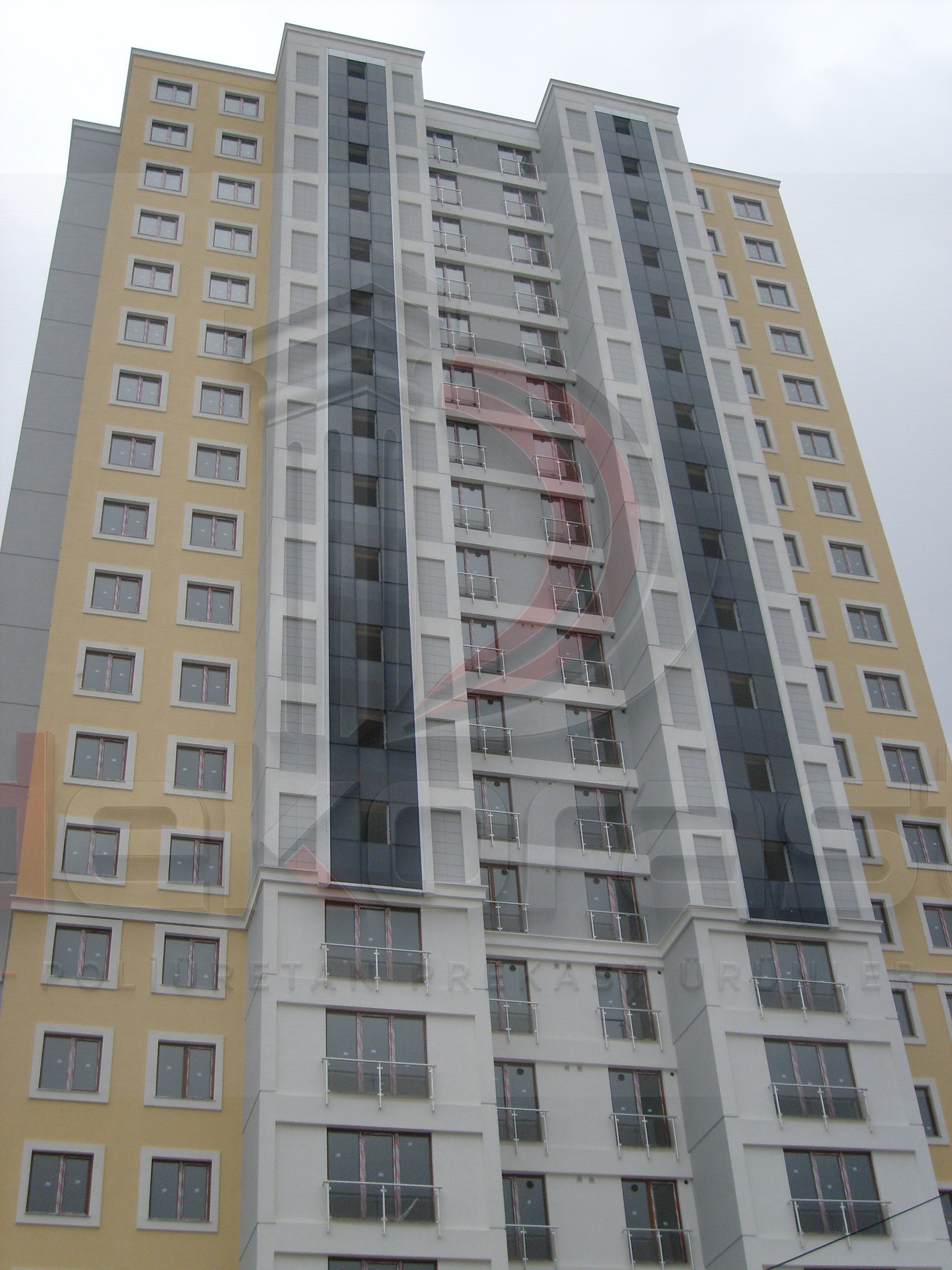 proje 31